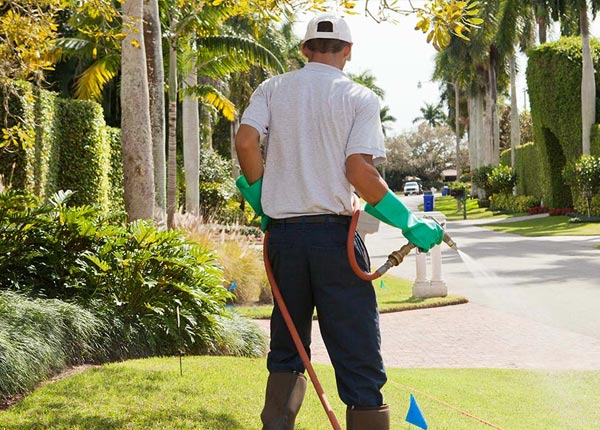 About Mindenmines MO Pest Control