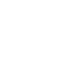 Mindenmines MO Pest Control